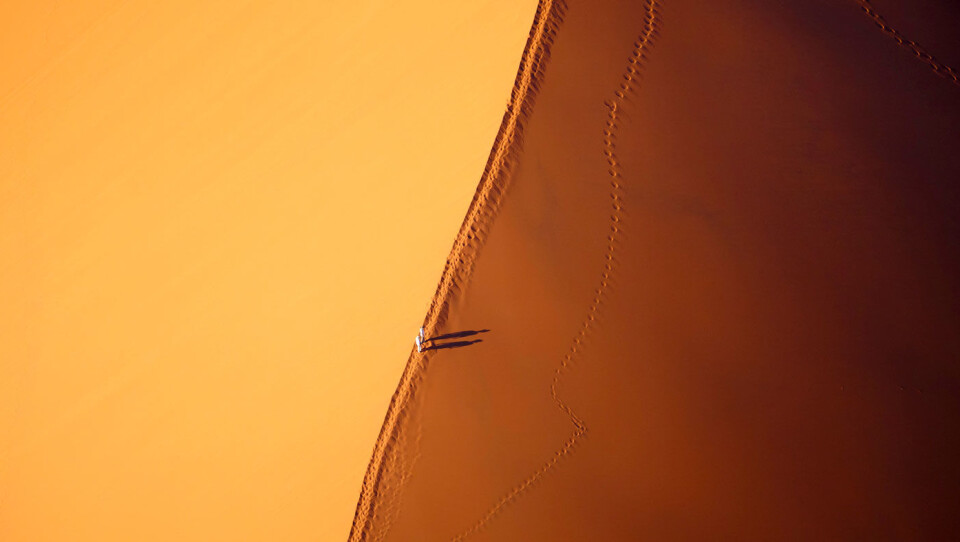 Namibia - safari, sanddyner og et fantastisk dyreliv