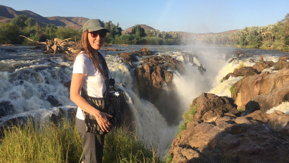 Namibia - safari, sanddyner og et fantastisk dyreliv