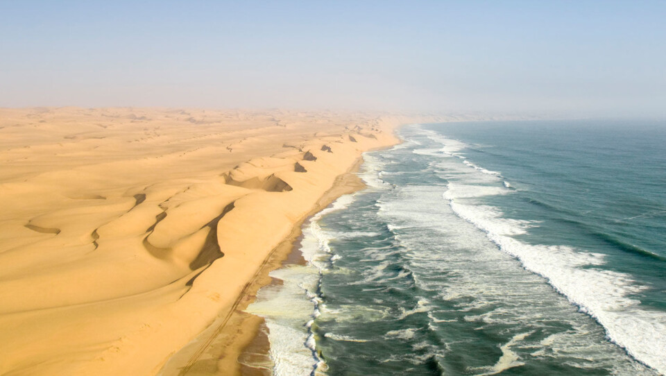Namibia - safari, sanddyner og et fantastisk dyreliv