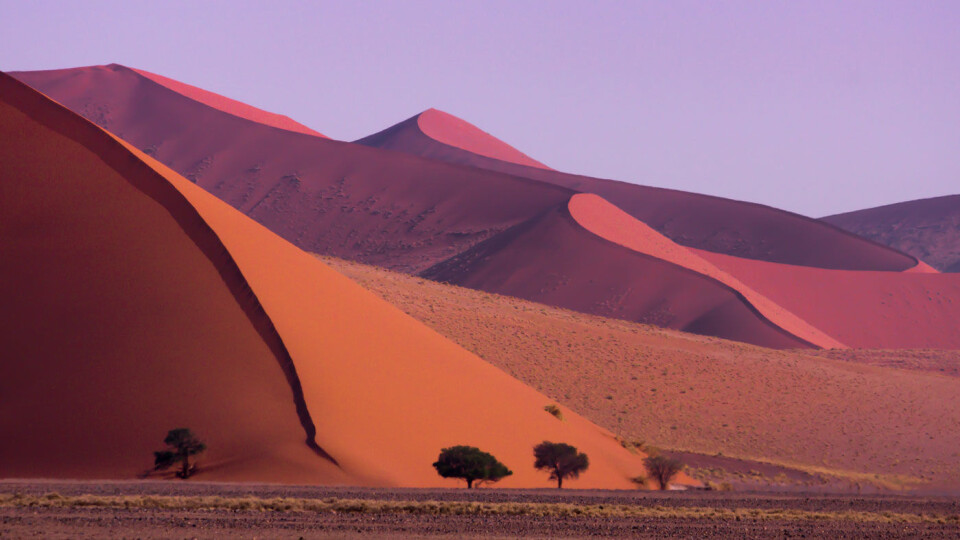 Namibia - safari, sanddyner og et fantastisk dyreliv