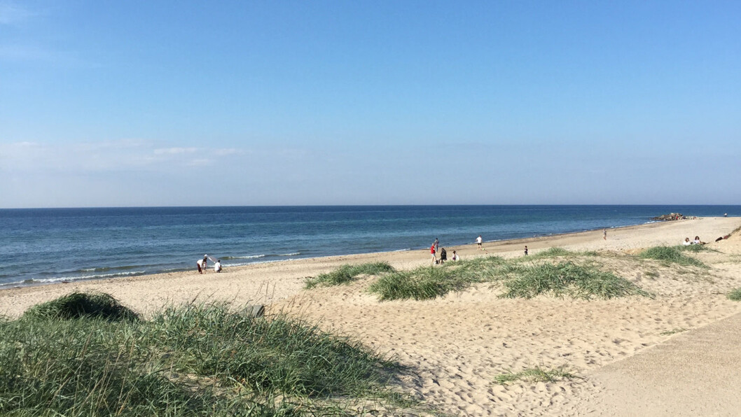 SYDEN I SVERIGE: Myke sandstrender og et bølgende landskap gjør at Skåne nesten blir som et Toscana i nord. Foto: Lina Schøyen SYDEN I SVERIGE: Myke sandstrender og et bølgende landskap gjør at Skåne nesten blir som et Toscana i nord. Foto: Lina Schøyen