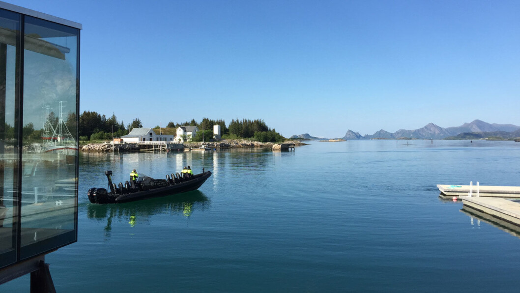 NATUR SOM ATTRAKSJON: Fra Manshausen har du utsikt blant annet mot Lofotveggen. Uttrykket «et mektig skue» får plutselig nytt innhold. NATUR SOM ATTRAKSJON: Fra Manshausen har du utsikt blant annet mot Lofotveggen. Uttrykket «et mektig skue» får plutselig nytt innhold.