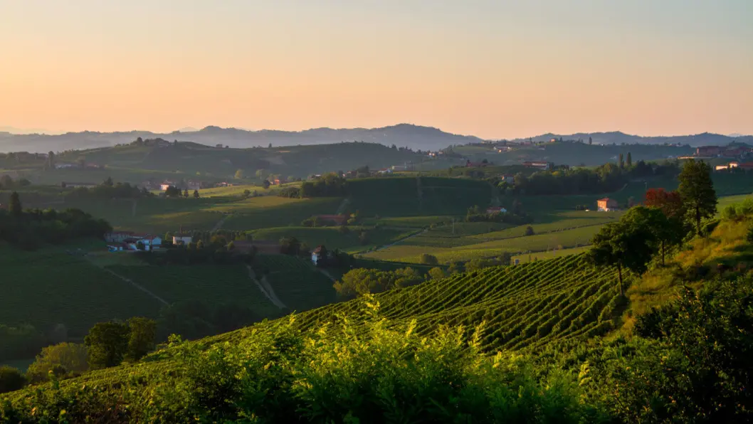 BØLGENDE LANDSKAP: Myke åsrygger og vinmarker, sjarmerende landsbyer og gode restauranter preger Piemonte. Og alt skjer i et deilig og avslappet tempo. Foto: Shutterstock BØLGENDE LANDSKAP: Myke åsrygger og vinmarker, sjarmerende landsbyer og gode restauranter preger Piemonte. Og alt skjer i et deilig og avslappet tempo. Foto: Shutterstock