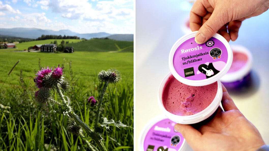 LOKALE FRISTELSER: Rørosmeieriet har gjort lykke med sine økologiske melkeprodukter, blant annet en tjukkmjølksis. Foto: Destinasjon Røros, Christine Baglo og Marius Rua LOKALE FRISTELSER: Rørosmeieriet har gjort lykke med sine økologiske melkeprodukter, blant annet en tjukkmjølksis. Foto: Destinasjon Røros, Christine Baglo og Marius Rua