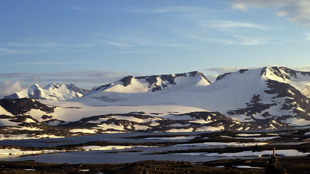 UTSIKT MOT FANARÅKEN: Veien over Sognefjellet er flott, den veksler mellom høyfjell og fjord i løpet av få kilometer. Foto: Per Roger Lauritzen UTSIKT MOT FANARÅKEN: Veien over Sognefjellet er flott, den veksler mellom høyfjell og fjord i løpet av få kilometer. Foto: Per Roger Lauritzen