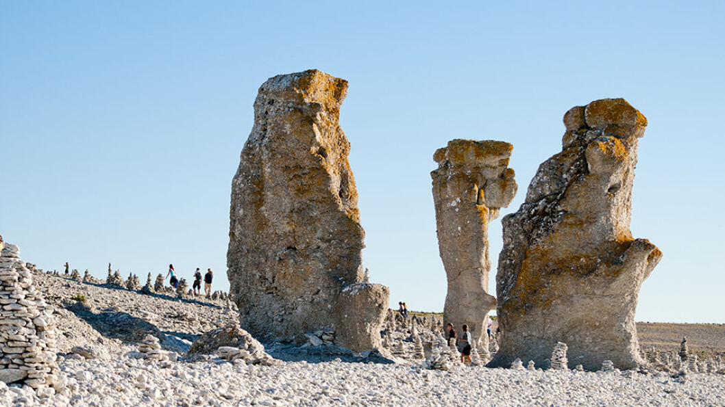 TYPISK GOTLAND: Raukene, de høye kalksteinsformasjonene er helt spesielle. Foto: Helena Wahlman/Visit Sweden TYPISK GOTLAND: Raukene, de høye kalksteinsformasjonene er helt spesielle. Foto: Helena Wahlman/Visit Sweden