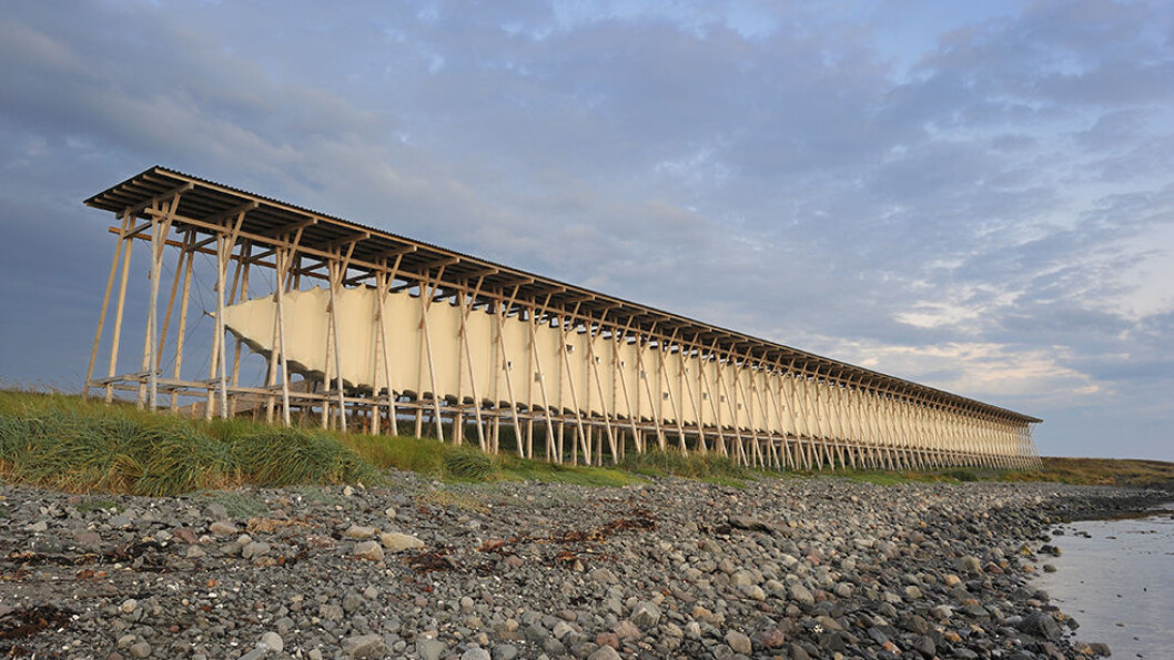 BRENT SOM HEKSER: På Steilneset i Vardø ligger minnesmerket over de 91 som ble brent på bålet som hekser. Det er oppført av Statens vegvesen og ligger ved Nasjonal turistveg Varanger. Foto: Jarle Wæhler / Statens vegvesen BRENT SOM HEKSER: På Steilneset i Vardø ligger minnesmerket over de 91 som ble brent på bålet som hekser. Det er oppført av Statens vegvesen og ligger ved Nasjonal turistveg Varanger. Foto: Jarle Wæhler / Statens vegvesen