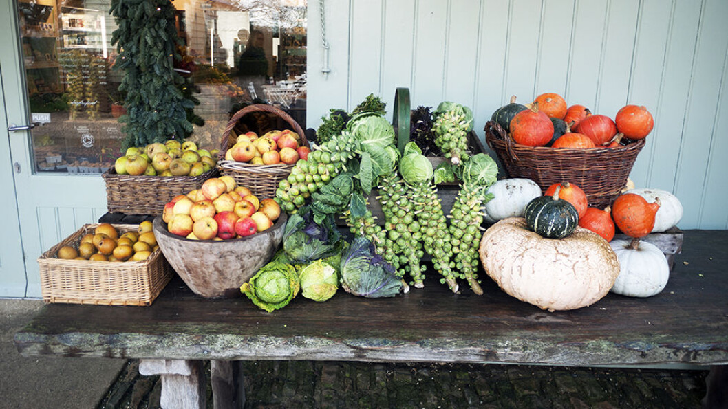 DAYLESFORD ORGANIC: Dette er gårdsbutikken sin det! Mye produseres på gården, alt er økologisk. DAYLESFORD ORGANIC: Dette er gårdsbutikken sin det! Mye produseres på gården, alt er økologisk.