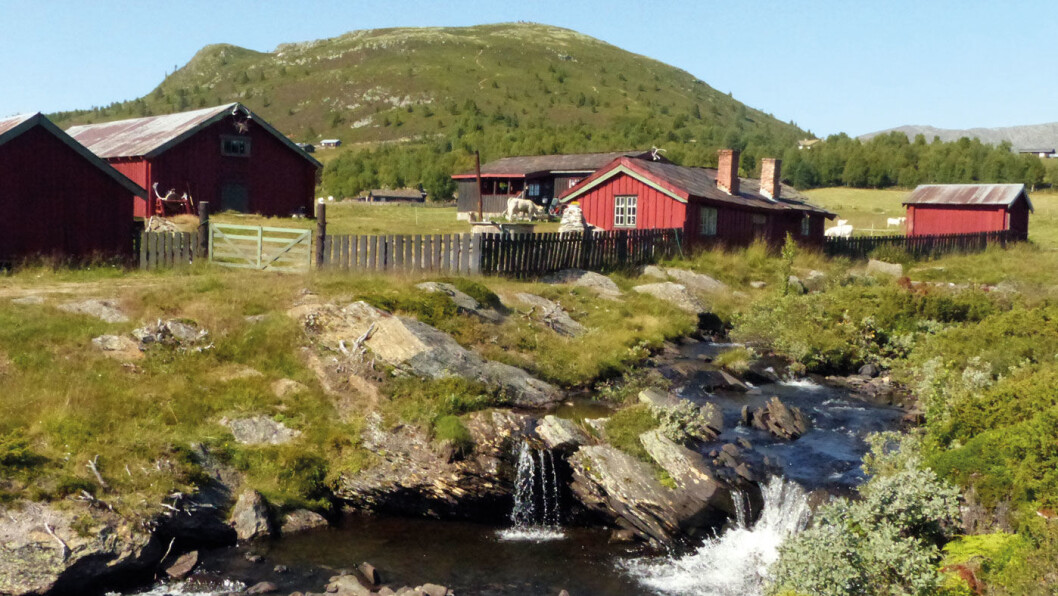 ET LITE STYKKE NORGE: Seteridyll på Sødorpfjellet. Foto: Reidar Stangenes ET LITE STYKKE NORGE: Seteridyll på Sødorpfjellet. Foto: Reidar Stangenes