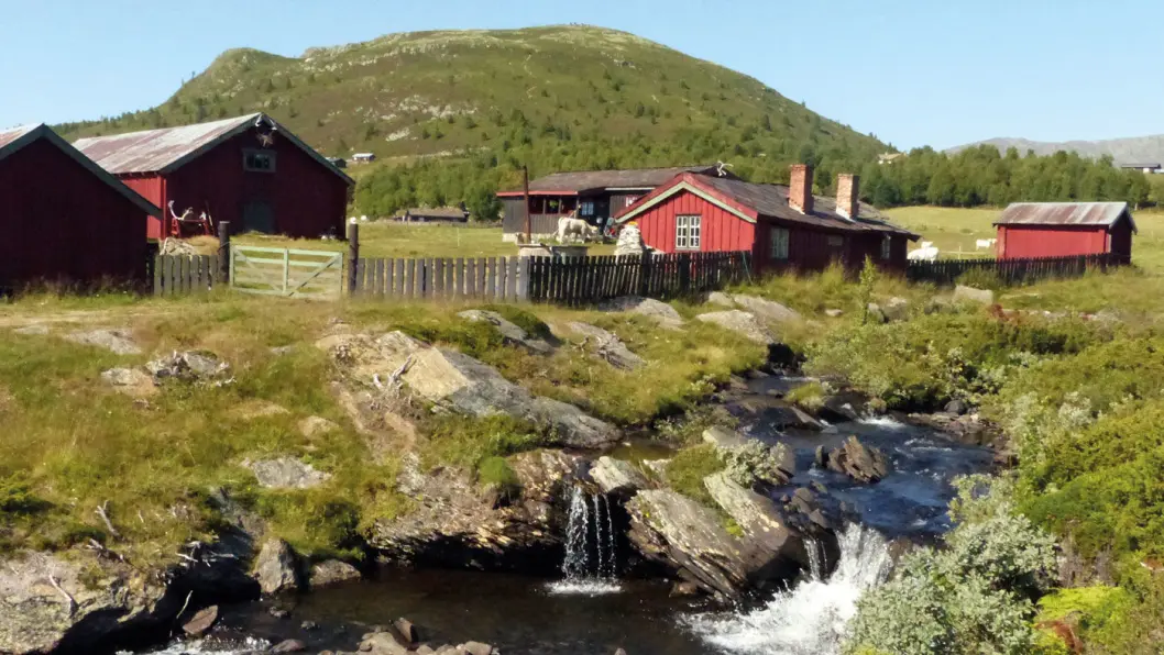 ET LITE STYKKE NORGE: Seteridyll på Sødorpfjellet. Foto: Reidar Stangenes ET LITE STYKKE NORGE: Seteridyll på Sødorpfjellet. Foto: Reidar Stangenes