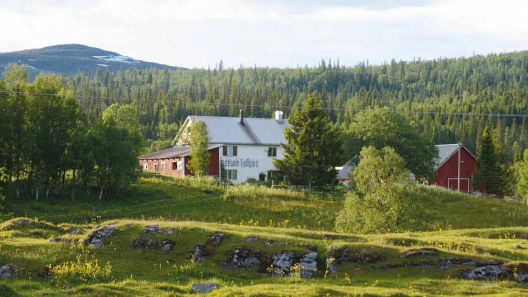 SJARM: Den koselige Gryteselv fjellgård ligger langs RV73. Foto: Per Roger Lauritzen