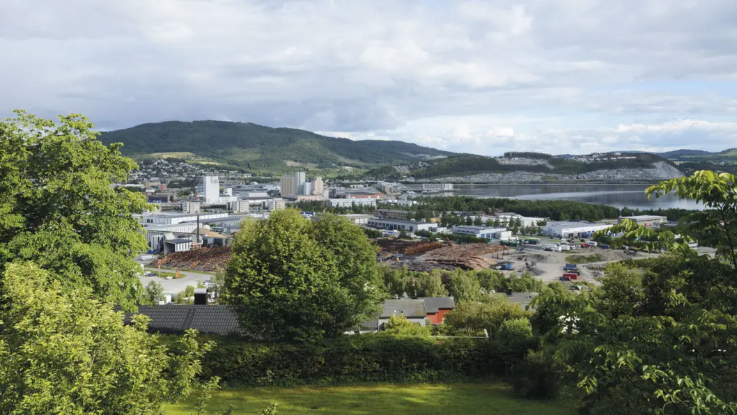 SKOGEN: Trelastlagrene i Steinkjer forteller sitt om at skogbruk er viktig for det gamle Nord-Trøndelags hovedstad. Foto: Per Roger Lauritzen SKOGEN: Trelastlagrene i Steinkjer forteller sitt om at skogbruk er viktig for det gamle Nord-Trøndelags hovedstad. Foto: Per Roger Lauritzen
