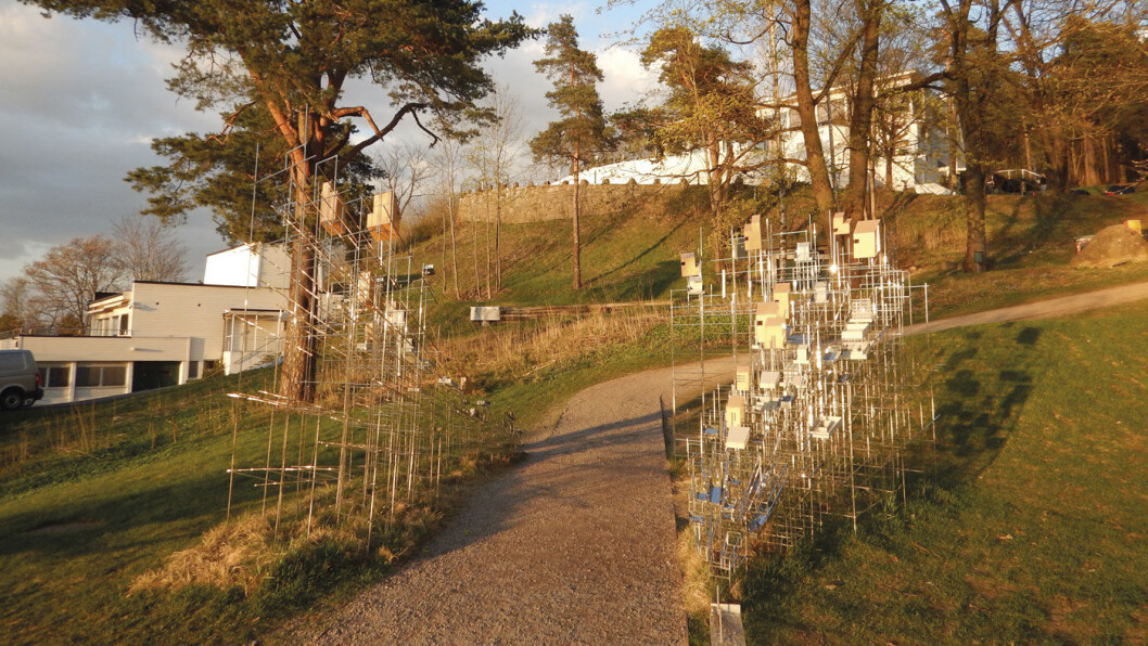 NYTER MAT OG UTSIKT: Ekeberg restaurant og skulpturparken byr både på god mat og flott kunst. Foto: Per Roger Lauritzen NYTER MAT OG UTSIKT: Ekeberg restaurant og skulpturparken byr både på god mat og flott kunst. Foto: Per Roger Lauritzen