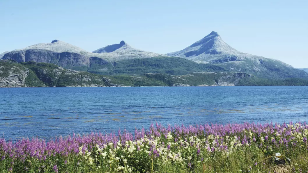 SEES I NORD: Heilhornet og andre staselige fjelltopper ønsker velkommen til Bindal og Nordland. Foto: Per Roger Lauritzen