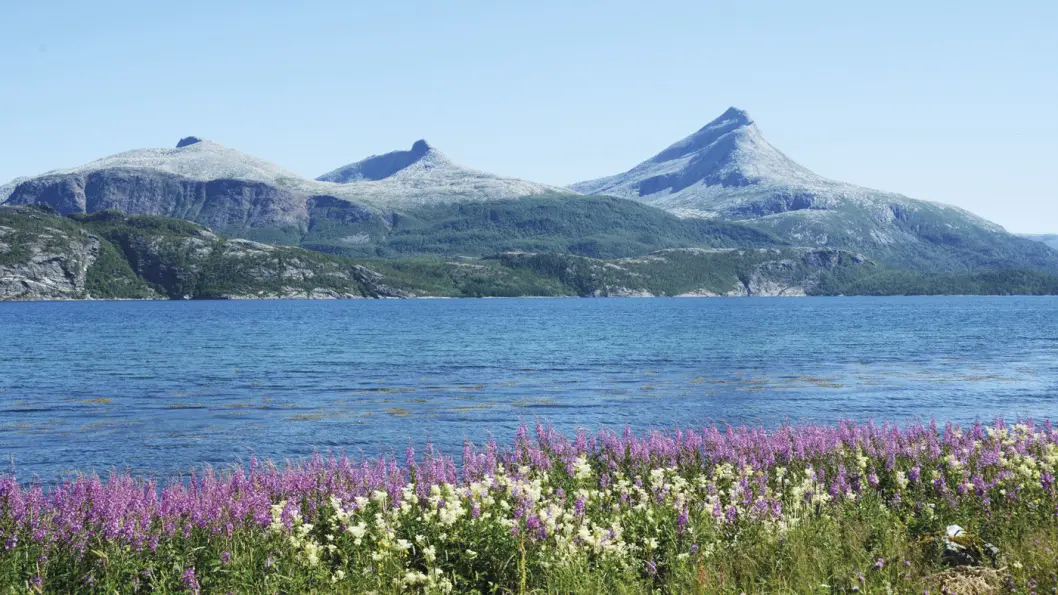SEES I NORD: Heilhornet og andre staselige fjelltopper ønsker velkommen til Bindal og Nordland. Foto: Per Roger Lauritzen SEES I NORD: Heilhornet og andre staselige fjelltopper ønsker velkommen til Bindal og Nordland. Foto: Per Roger Lauritzen