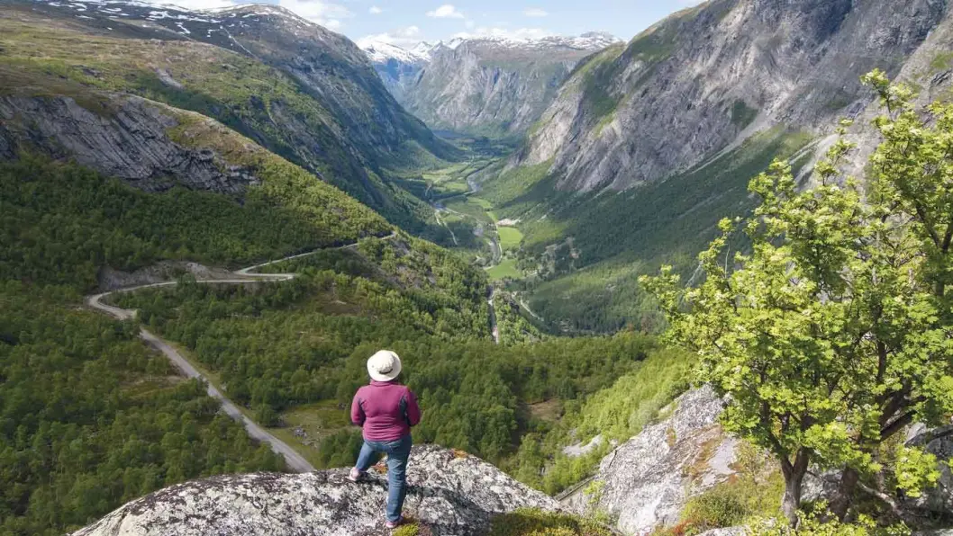 UVEISOMT: Veien går i hårnålsvinger, og fjellene er nakne i bakkene opp Finnsetlia. Foto: Bjørn Magne Øverås UVEISOMT: Veien går i hårnålsvinger, og fjellene er nakne i bakkene opp Finnsetlia. Foto: Bjørn Magne Øverås