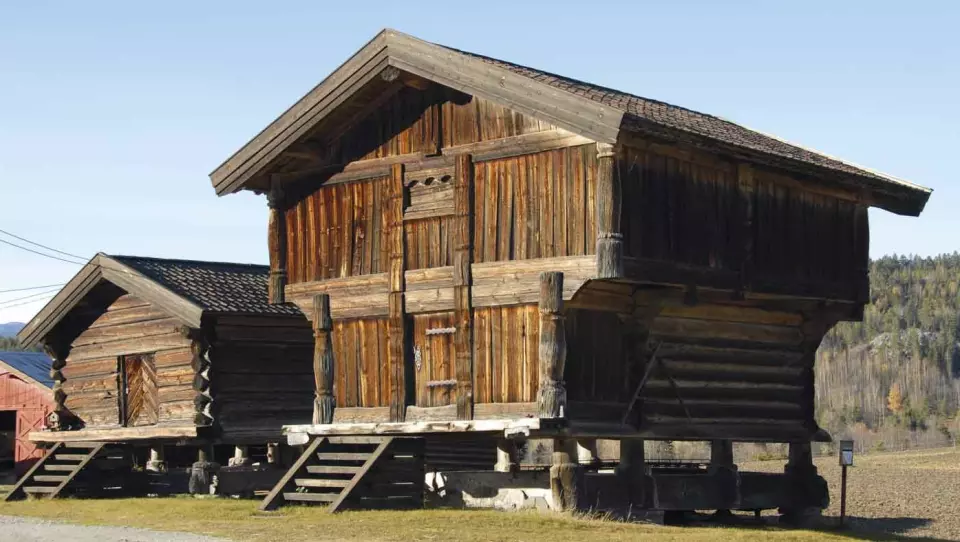 ALSTAD GÅRD: Det eldste Alstadloftet i Rollag er fra 1193. Foto: Per Roger Lauritzen