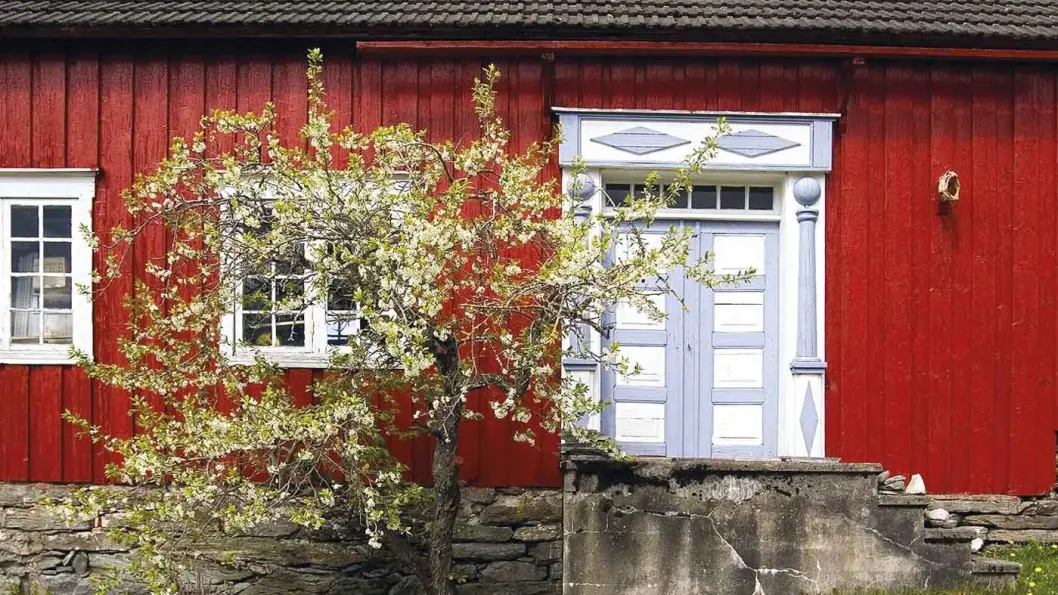 GÅRDSMAT: På Gangstad Gårdsysteri får blant annet kjøpt ost og iskrem av gårdens ferske kumelk. GÅRDSMAT: På Gangstad Gårdsysteri får blant annet kjøpt ost og iskrem av gårdens ferske kumelk.