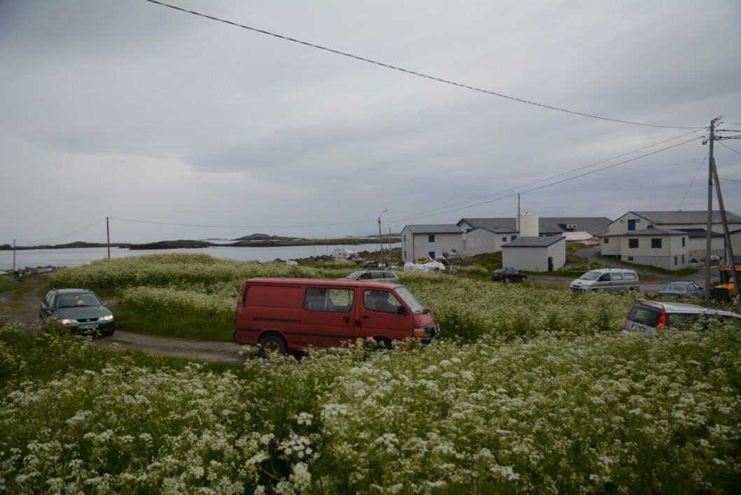 NORDLIGSTE: Rundkjøringen på Ingøy ligger like ved hurtigbåtkaia og fiskemottaket og særmerker seg ved å være stor og frodig – og vanligvis ganske tom. Foto: Per Roger Lauritzen NORDLIGSTE: Rundkjøringen på Ingøy ligger like ved hurtigbåtkaia og fiskemottaket og særmerker seg ved å være stor og frodig – og vanligvis ganske tom. Foto: Per Roger Lauritzen