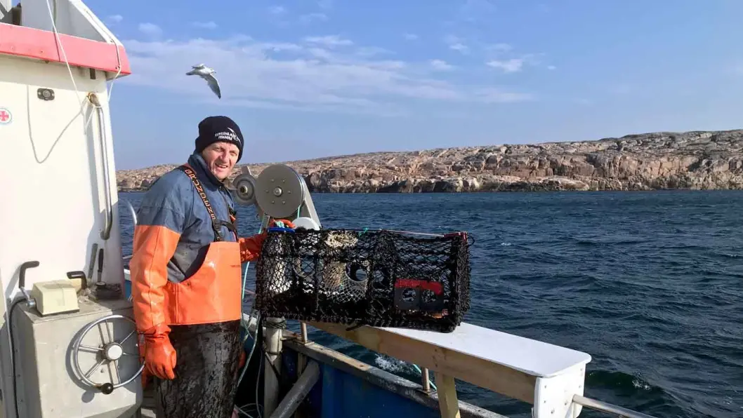 YRKESLIV I SJØSPRØYT: Tommy Olofsson er fisker, som faren var det før ham, og faren hans var det før ham igjen. Smögen er forresten vakkert fra alle kanter, også sett fra en fiskebåt. Og vi fikk en hummer. Foto: Lina Schøyen YRKESLIV I SJØSPRØYT: Tommy Olofsson er fisker, som faren var det før ham, og faren hans var det før ham igjen. Smögen er forresten vakkert fra alle kanter, også sett fra en fiskebåt. Og vi fikk en hummer. Foto: Lina Schøyen