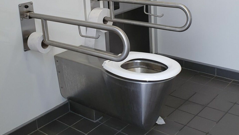 RENT: På de nye toalettene langs veien er sjansen mye større for at det er rent. Foto: Johan Nøkleholm