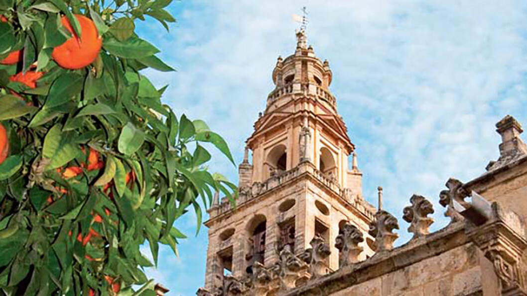 PÅ HISTORISK GRUNN: Romere, arabere og vestgotere har alle satt sitt preg på byer som Sevilla, Granada og Malaga. PÅ HISTORISK GRUNN: Romere, arabere og vestgotere har alle satt sitt preg på byer som Sevilla, Granada og Malaga.