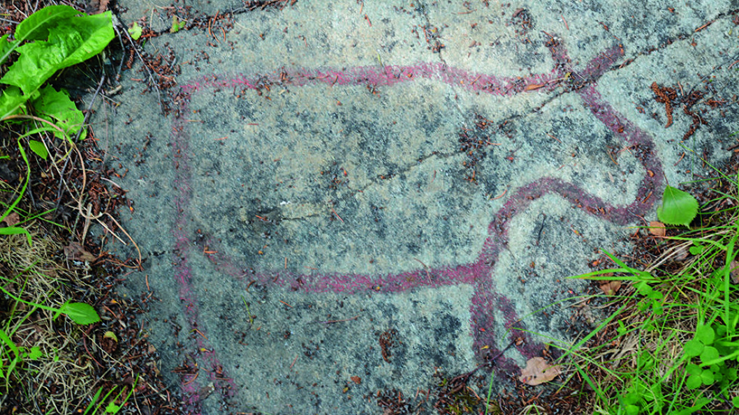 JAKT OG FISKE: Flere helleristningsfelt vitner om tidlig bosetning. Foto: Per Roger Lauritzen JAKT OG FISKE: Flere helleristningsfelt vitner om tidlig bosetning. Foto: Per Roger Lauritzen