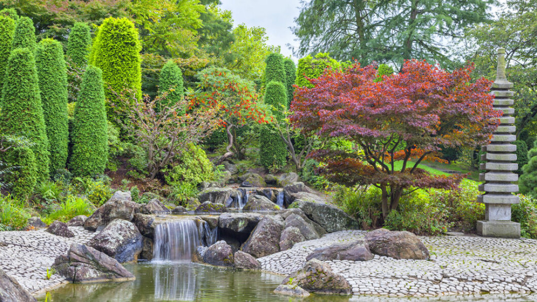 DEN JAPANSKE HAGEN I BONN: Parken var en gave fra den japanske regjeringen i forbindelse med en stor hageutstilling i Bonn i 1979. Foto: Shutterstock DEN JAPANSKE HAGEN I BONN: Parken var en gave fra den japanske regjeringen i forbindelse med en stor hageutstilling i Bonn i 1979. Foto: Shutterstock