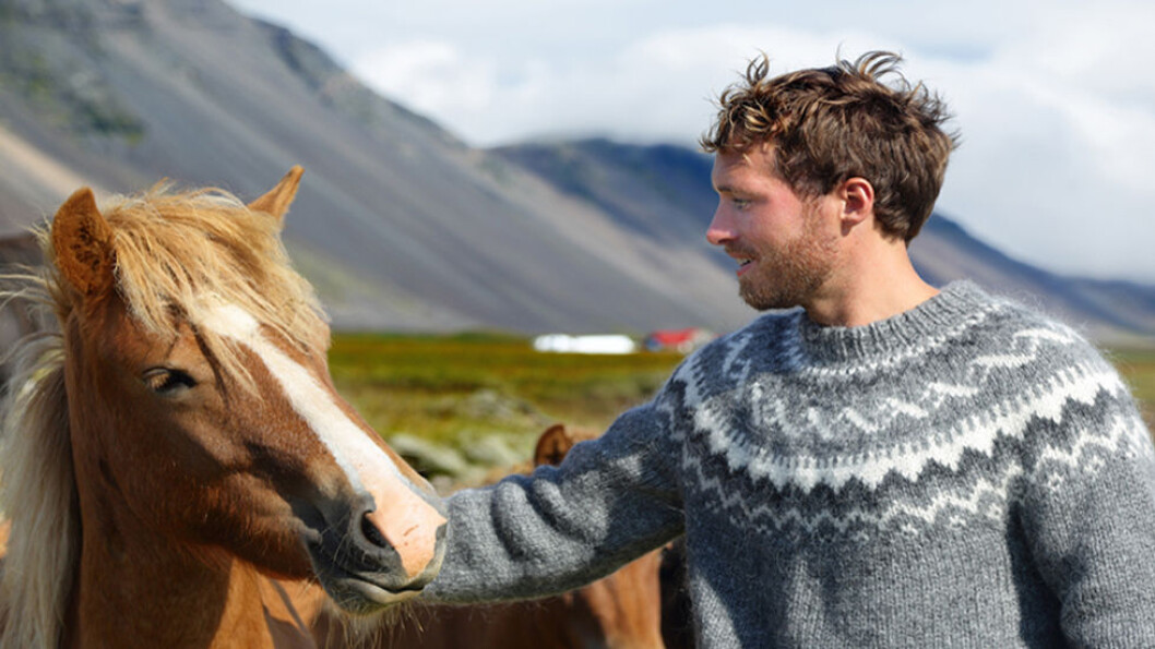 LA DEG INSPIRERE: Islandsgenseren i ren ull og med karakteristisk mønster, er flott. På turen får du anledning til å kjøpe garn og se hvordan ull blir farget med naturlige fargestoffer. Foto: Shutterstock LA DEG INSPIRERE: Islandsgenseren i ren ull og med karakteristisk mønster, er flott. På turen får du anledning til å kjøpe garn og se hvordan ull blir farget med naturlige fargestoffer. Foto: Shutterstock