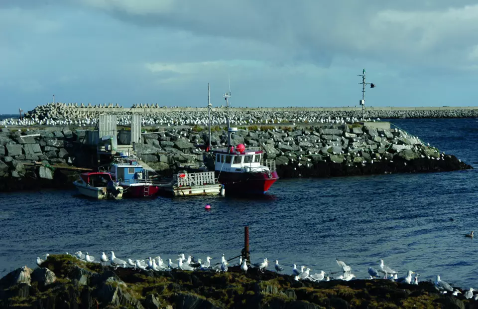 UTEN MOLO…: Fire imponerende moloer beskytter båter og folk mot det stormfulle Barentshavet.