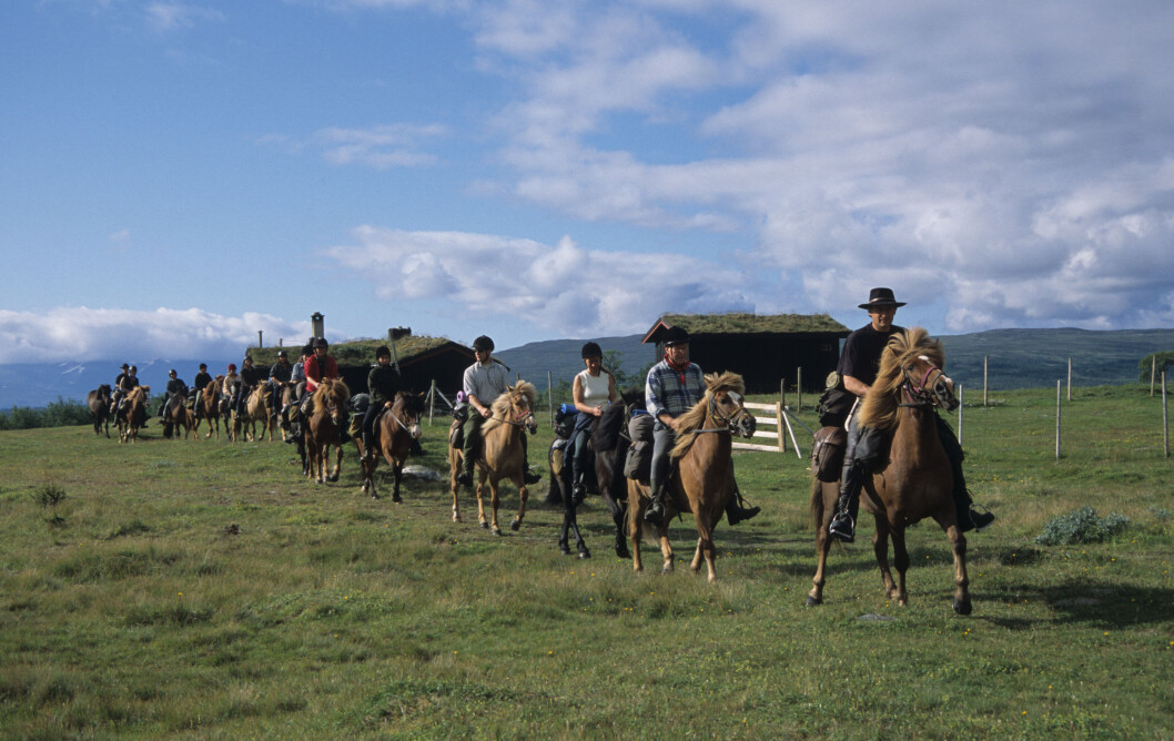 HYPP-HYPP: Det arrangeres populære rideturer i Sylan hver sommer. Foto: Per Roger Lauritzen HYPP-HYPP: Det arrangeres populære rideturer i Sylan hver sommer. Foto: Per Roger Lauritzen