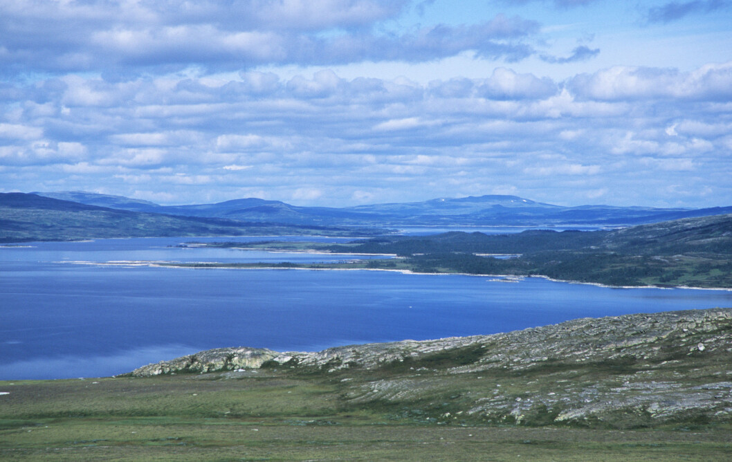 FLOTT SKUE: Fra veien inn til Nedalshytta ser du Nesjøen og Esandsjøen. Foto: Per Roger Lauritzen FLOTT SKUE: Fra veien inn til Nedalshytta ser du Nesjøen og Esandsjøen. Foto: Per Roger Lauritzen