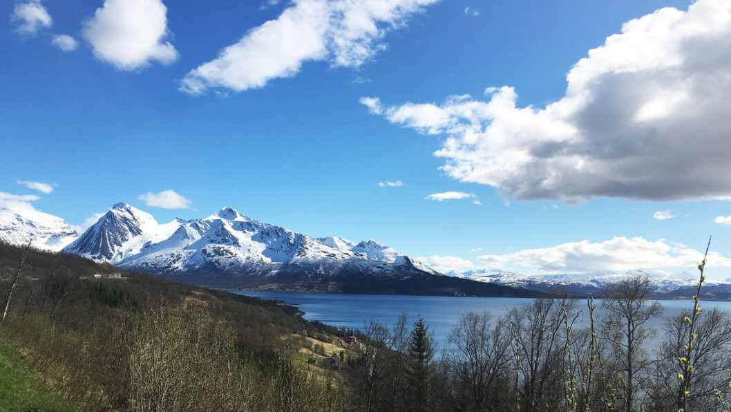 VAKKERT: Innerst i Balsfjorden ligger et av Nord-Norges beste serveringssteder langs veien, Vollan Gjestestue. VAKKERT: Innerst i Balsfjorden ligger et av Nord-Norges beste serveringssteder langs veien, Vollan Gjestestue.