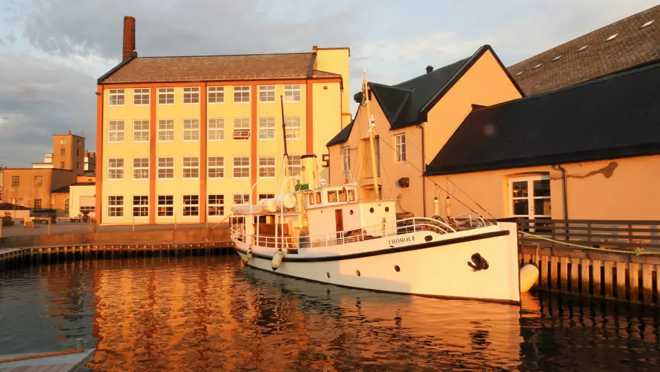 BEDRIFTSHISTORIE: Fabrikklokalene til O.A. Devolds Sønner i Langevåg med dampskipet «Thorolf» ved kai. Fra 1911 ble DS «Thorolf» brukt som salgsbåt langs norskekysten.