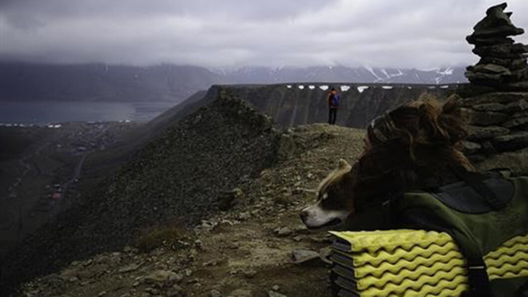 Landskapet og Sarkofagen er formet av isbreene gjennom tusener av år. Landskapet og Sarkofagen er formet av isbreene gjennom tusener av år.