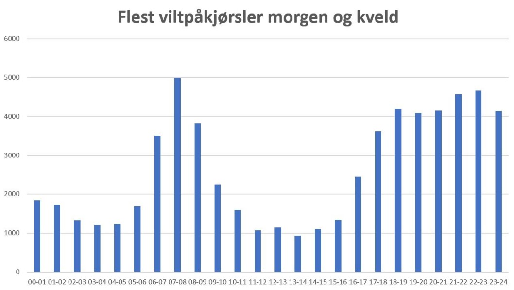 NATT, MORGEN, KVELD: Det er mange viltkollisjoner i morgentimene og på kvelden. Men nattestid er det også mange påkjørsler med tanke på at trafikken da er lav. Oversikten viser viltkollisjoner time for time gjennom døgnet de siste 10 år, fra 2007-2016 NATT, MORGEN, KVELD: Det er mange viltkollisjoner i morgentimene og på kvelden. Men nattestid er det også mange påkjørsler med tanke på at trafikken da er lav. Oversikten viser viltkollisjoner time for time gjennom døgnet de siste 10 år, fra 2007-2016