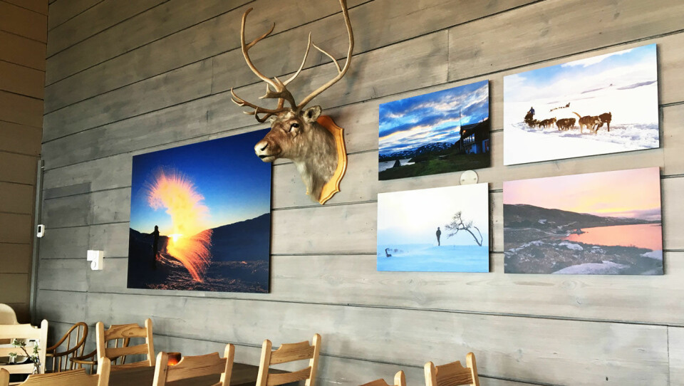 SPISESTUA: Spisesalen er nyoppusset med flotte naturbilder på veggen.
