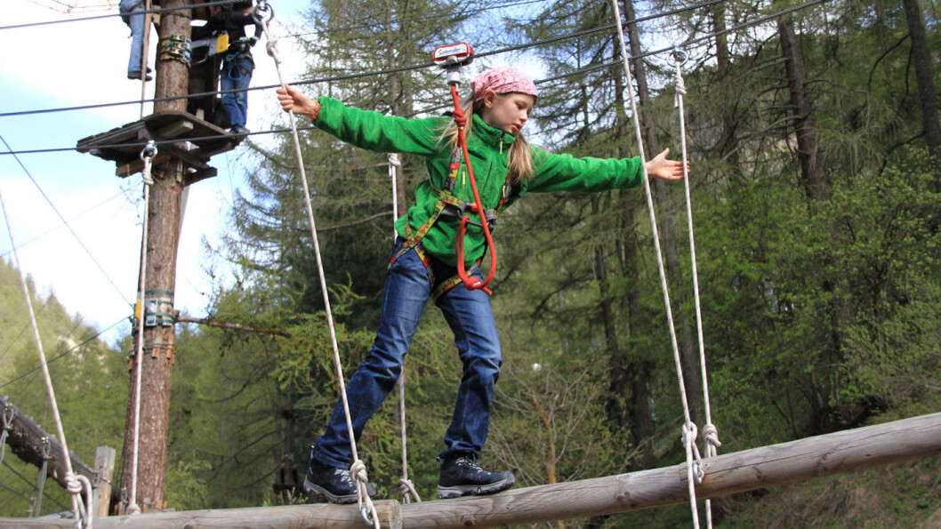 KLATREMORO: I klatreparken kan alle la seg utfordre. Foto: Forest Fun Park KLATREMORO: I klatreparken kan alle la seg utfordre. Foto: Forest Fun Park