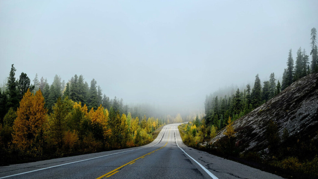 URETTFERDIG AVGIFT: Drivstoffavgiften rammer i bunn og grunn dem som virkelig er avhengige av bilen, nemlig distrikts-Norge, mener NAF. Foto: Tim Gouw, Unsplash URETTFERDIG AVGIFT: Drivstoffavgiften rammer i bunn og grunn dem som virkelig er avhengige av bilen, nemlig distrikts-Norge, mener NAF. Foto: Tim Gouw, Unsplash