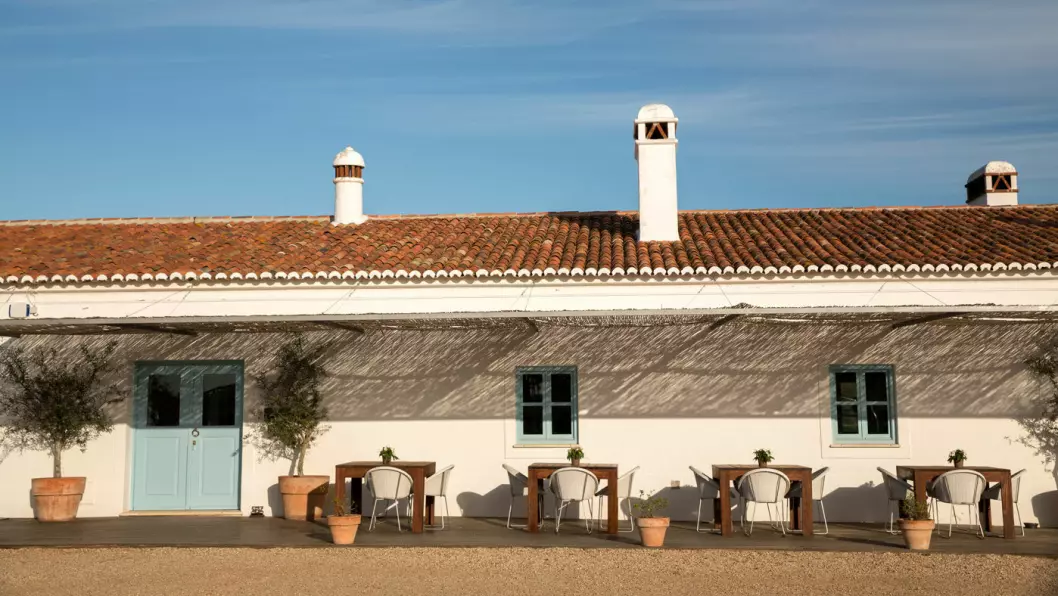 BO PÅ EN VINGÅRD: Malhadinha Nova i Albernoa, 145 km nord for sørkysten av Portugal, er en staselig, gammel vingård som også er hotell med SPA. Foto: Mette Randem