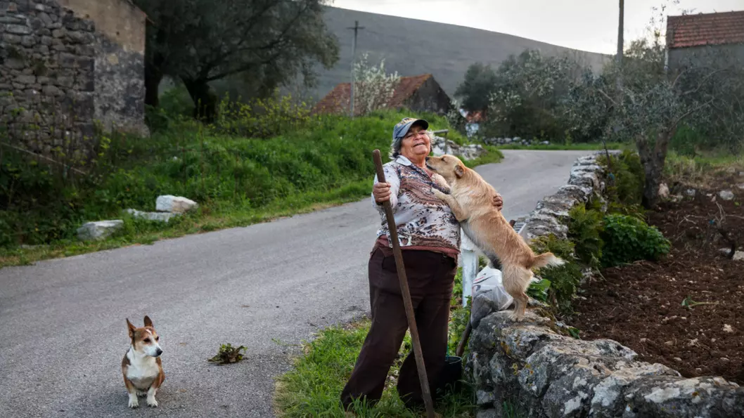 HYGGELIGE FOLK: Damen med hundene møtte vi i Alvados i nasjonalparken Serras de Aire e Candeeiros. Foto: Mette Randem 