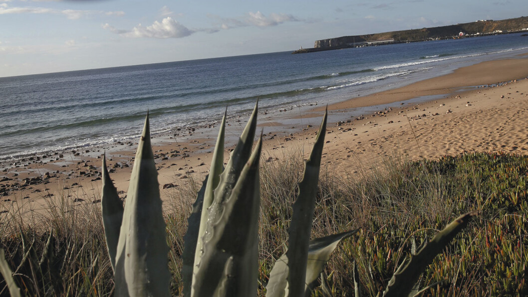 MOT SAGRES: Lange strender og bratte klipper preger langs kysten mot Sagres helt i sørvest. Foto: Mette Randem MOT SAGRES: Lange strender og bratte klipper preger langs kysten mot Sagres helt i sørvest. Foto: Mette Randem