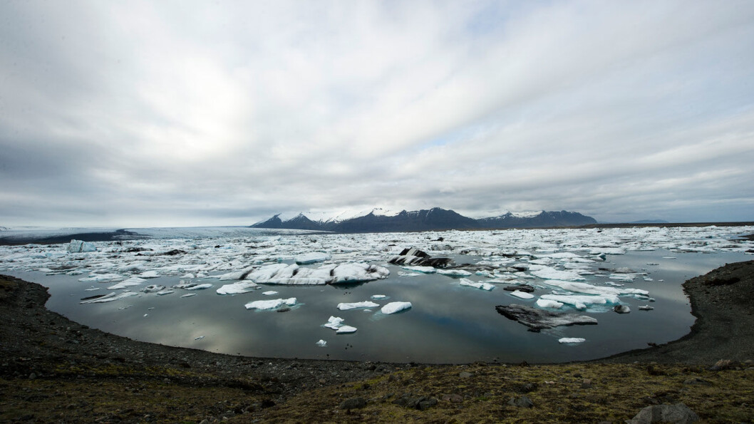 ISKALDT: Jökulsárlón er et av Islands mest spektakulære syn, og du kan reise med båt blant de mange isflakene i lagunen, som ligger godt merket rett ved ringveien. ISKALDT: Jökulsárlón er et av Islands mest spektakulære syn, og du kan reise med båt blant de mange isflakene i lagunen, som ligger godt merket rett ved ringveien. 