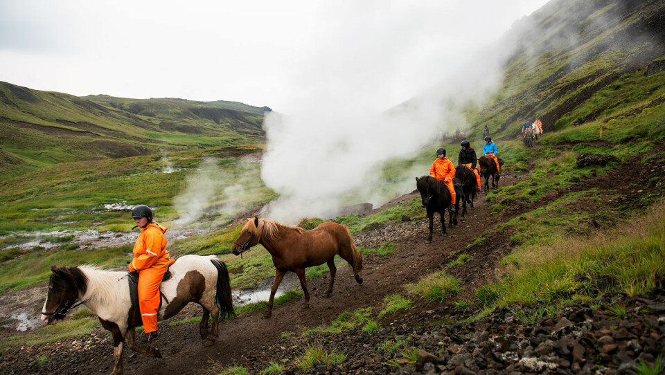 DET ER KLART DU MÅ RI: Når du er på Island kan du ri innover i fjellene. 