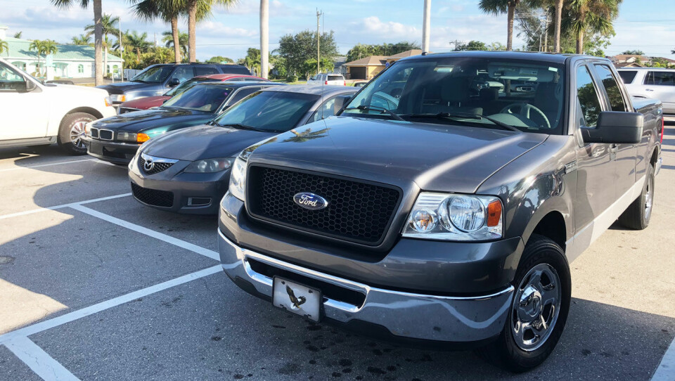MEST SOLGT: Fords pickup F-serie er USAs klart mest solgte bil. På amerikanske parkeringsplasser behøver du ikke lete lenge før du finner en av dem. På 41 år er det solgt over 27 millioner av Ford F-serie. Foto: Geir Røed