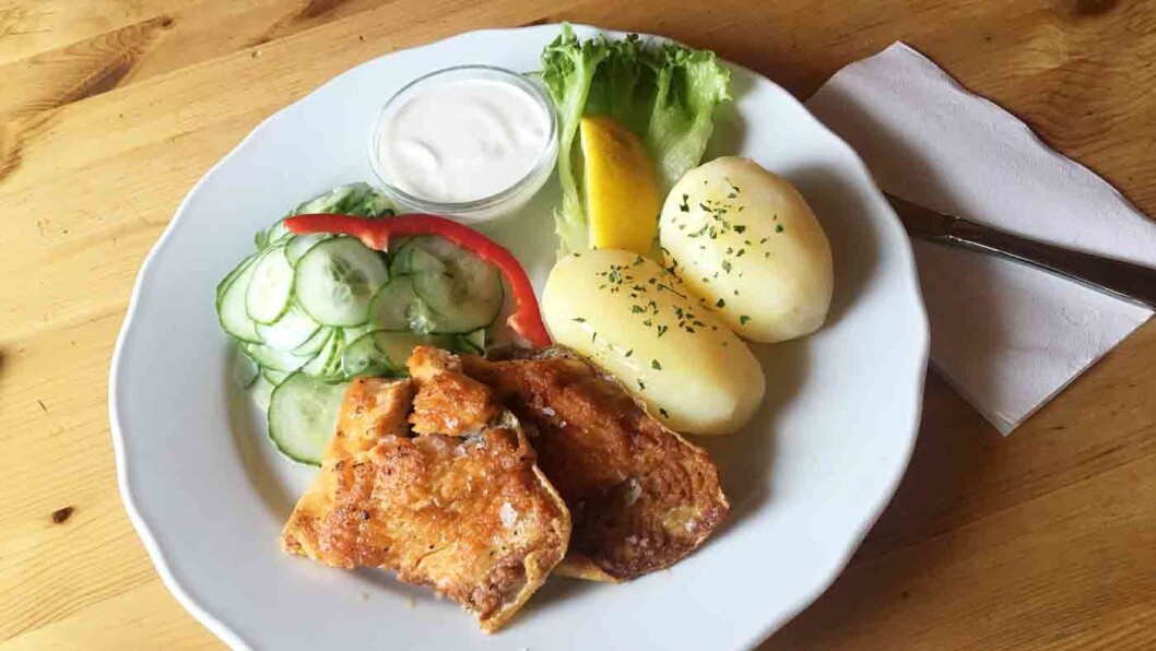 LOKAL FISK: Varm, nystekt - og litt tørrstekt, røyr med poteter og agurksalat. LOKAL FISK: Varm, nystekt - og litt tørrstekt, røyr med poteter og agurksalat.