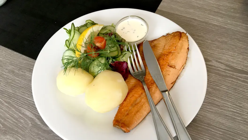 ET GODT VALG: Fjellørreten er akkurat passe sprøstekt, og det er raust med frisk og god agurksalat til. ET GODT VALG: Fjellørreten er akkurat passe sprøstekt, og det er raust med frisk og god agurksalat til.