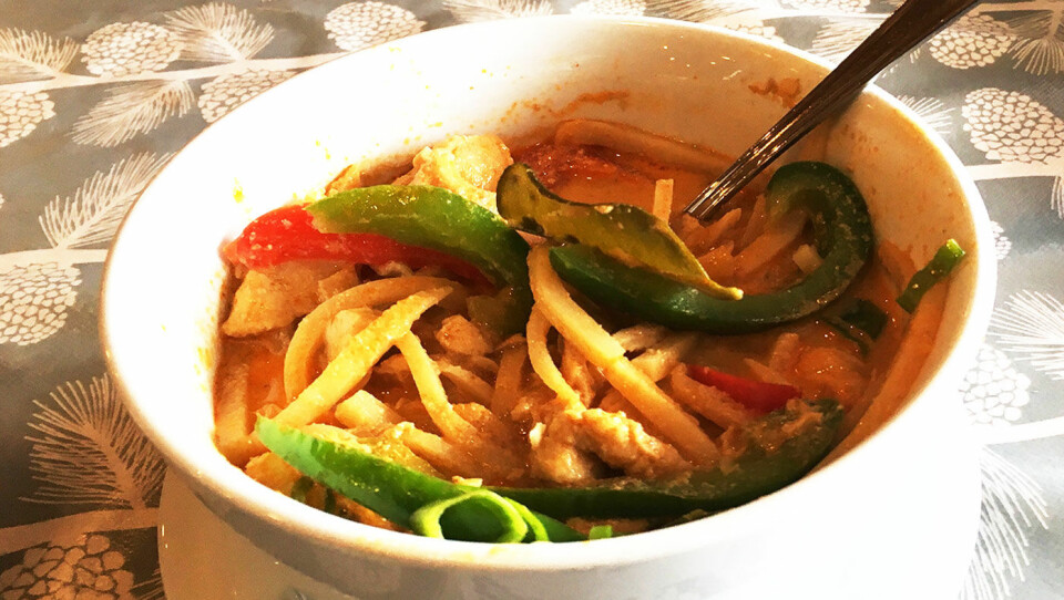 THAI-VEIMAT: Hjemmelaget, thailandsk curry.