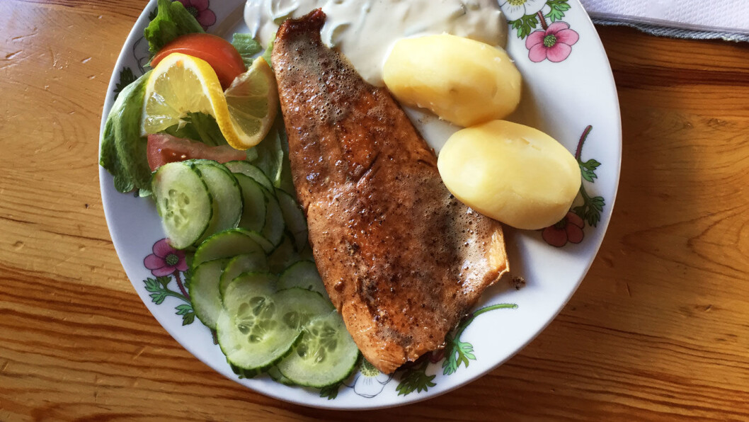 FJELLØRRET: Det dras fersk ørret i løpet av året, men de er sjeldne. Så den som serveres er frossen, men smaker godt. FJELLØRRET: Det dras fersk ørret i løpet av året, men de er sjeldne. Så den som serveres er frossen, men smaker godt.