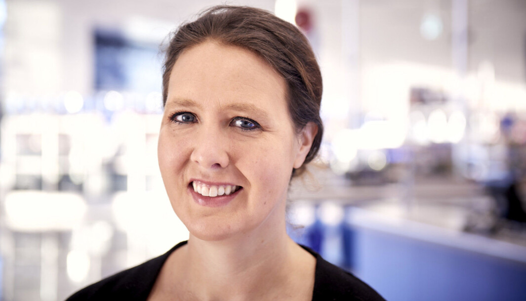 <b>REKVISITA-LEVERANDØR:</b> Monica Videm, markedsansvarlig i Biltema-kjeden <b>REKVISITA-LEVERANDØR:</b> Monica Videm, markedsansvarlig i Biltema-kjeden